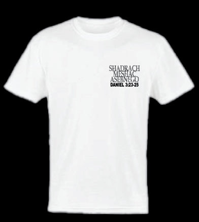 "Set Free" Tee – Daniel 3:23-25